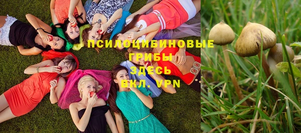 mdpv Магас