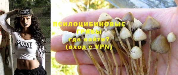 mdpv Магас